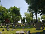 Growing Up with America-- The First Presbyterian Church of Woodbridge's Lasting Legacy and Presence in Middlesex County